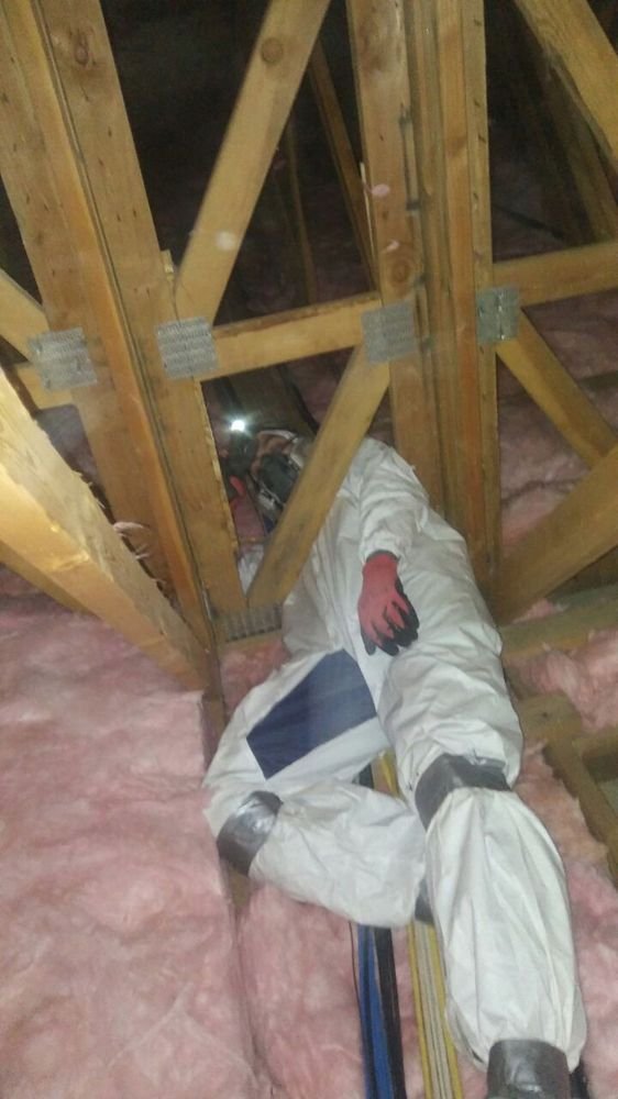 TX Builder technician cleaning an attic